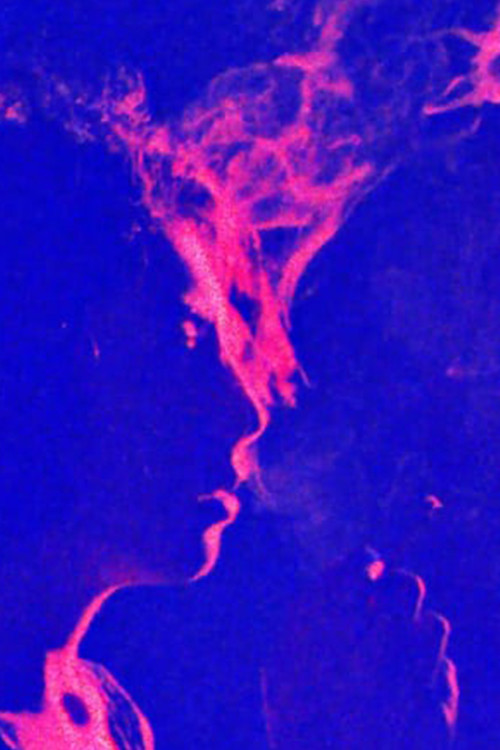 Movie poster for Something is Happening Here (2020)