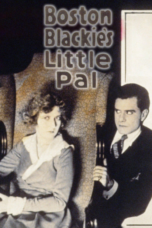 Movie poster for Boston Blackie's Little Pal (1918)