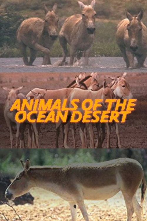Movie poster for Animals of the Ocean Desert (2001)