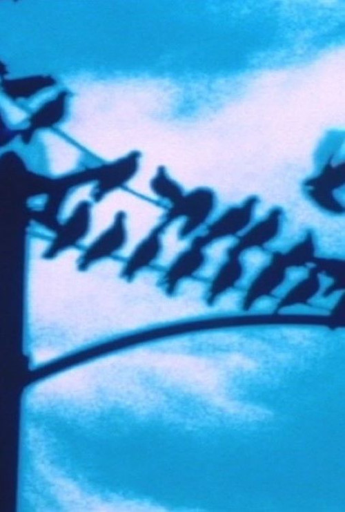 Movie poster for Faultlines (1998)