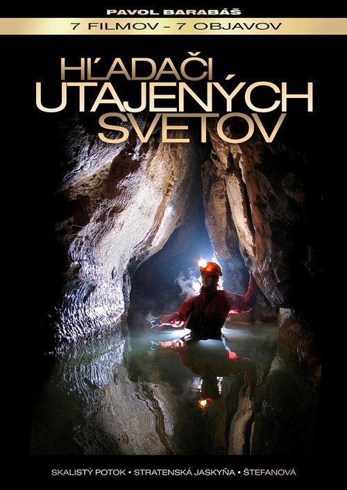 Movie poster for The Secret World's Seekers (2010)