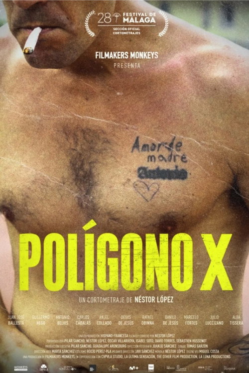 Movie poster for Polígono X (2025)