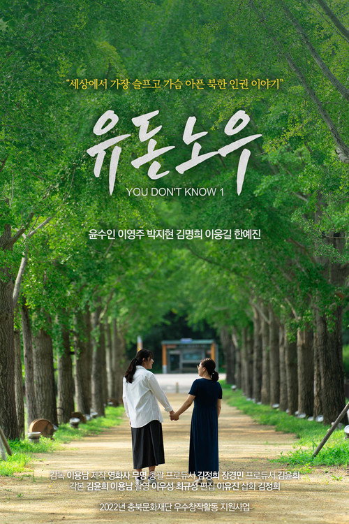 Movie poster for You Don't Know 1 (2022)
