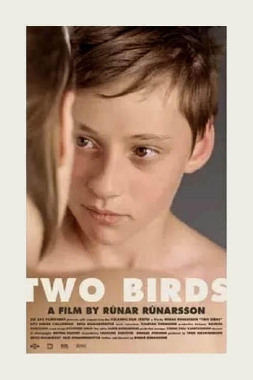 Movie poster for Two Birds (2008)