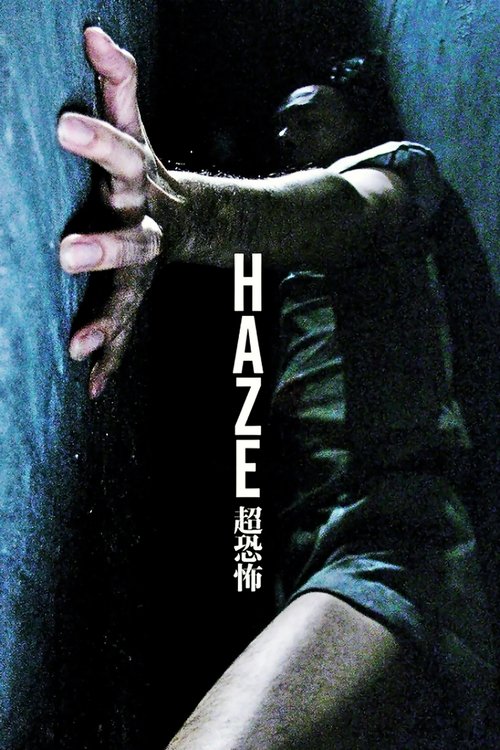 Movie poster for Haze (2005)