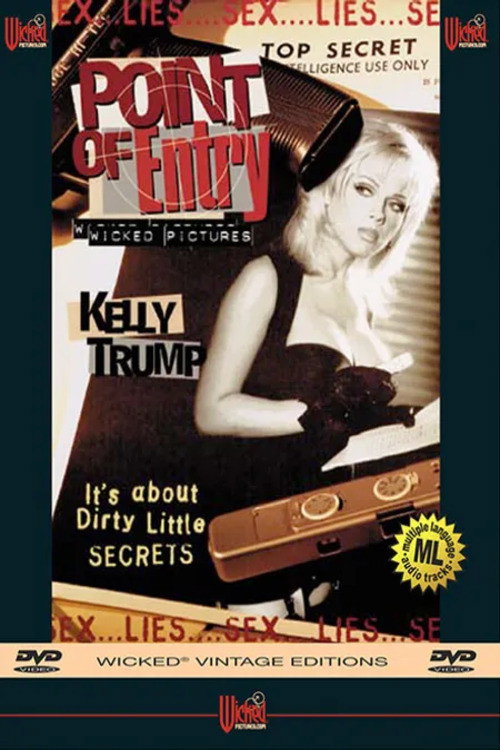 Movie poster for Point of Entry (1996)