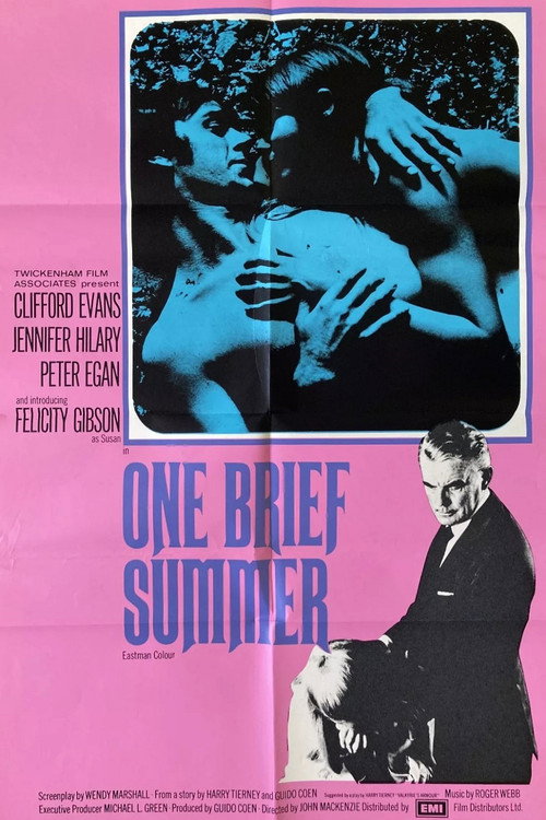 Movie poster for One Brief Summer (1971)