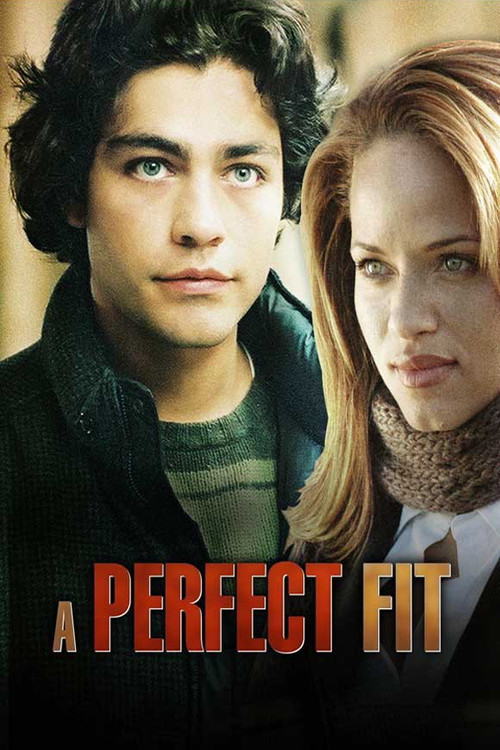 Movie poster for A Perfect Fit (2005)
