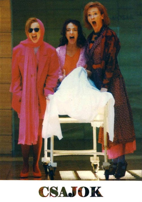 Movie poster for Bitches (1995)