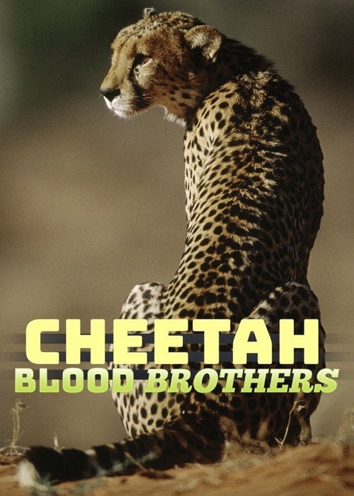 Movie poster for Cheetah Blood Brothers (2007)