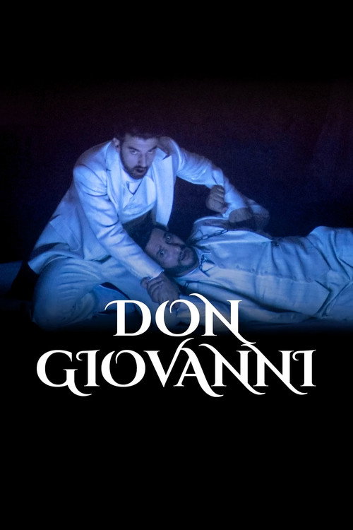 Movie poster for Mozart: Don Giovanni (2021)