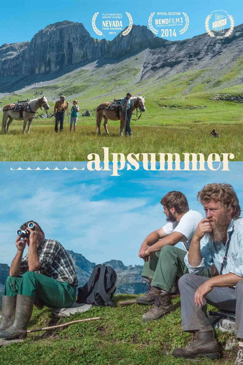 Movie poster for ALPSUMMER (2013)