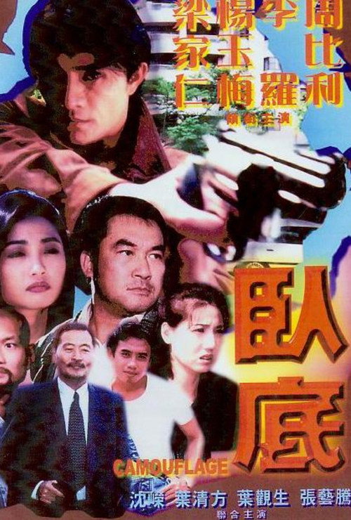 Movie poster for Camouflage (2000)