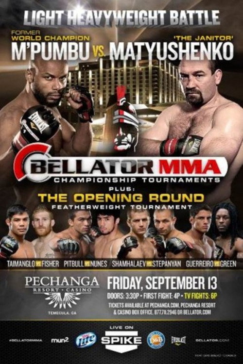 Movie poster for Bellator 99 (2013)