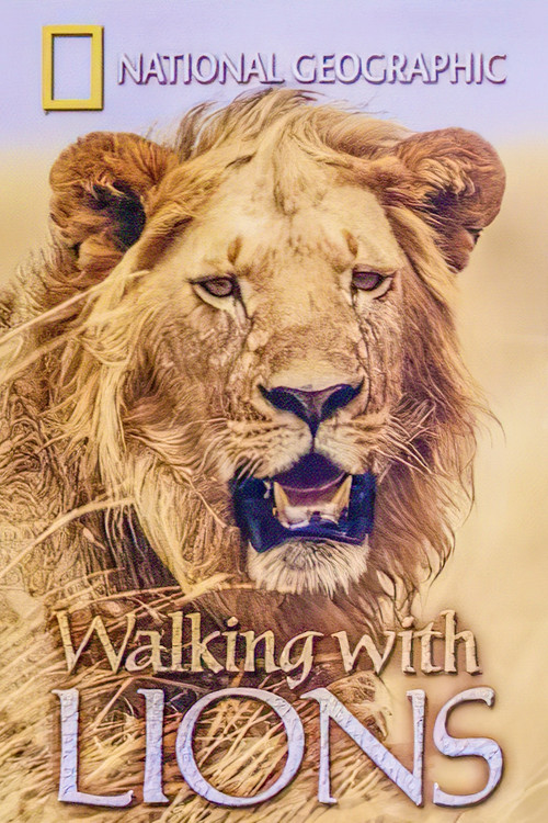 Movie poster for Walking with Lions (2004)