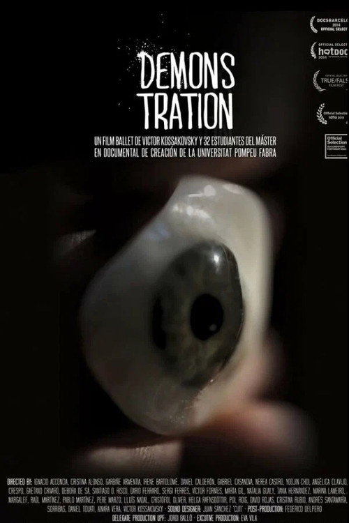 Movie poster for Demonstration (2013)