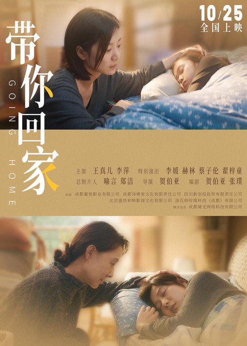 Movie poster for Going Home (2025)