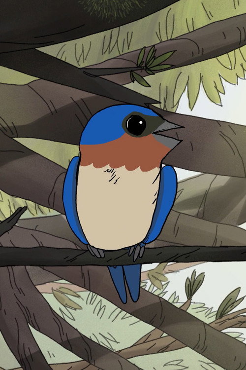 Movie poster for Birds (2020)