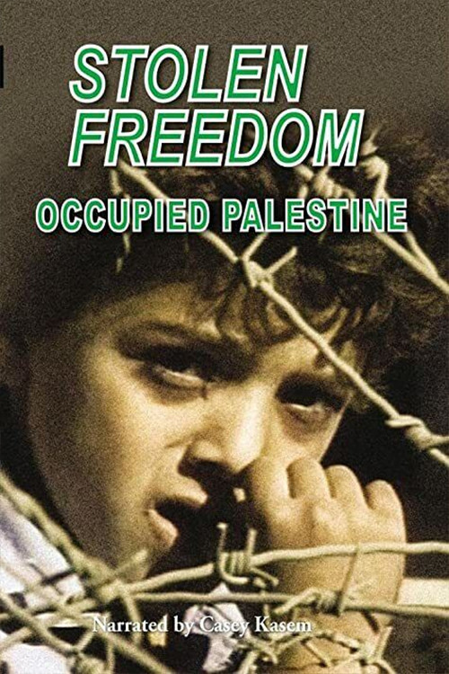 Movie poster for Stolen Freedom: Occupied Palestine (1991)