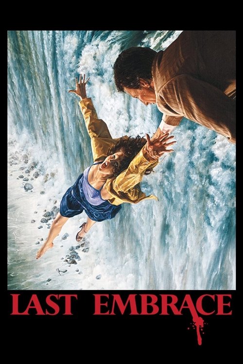 Movie poster for Last Embrace (1979)