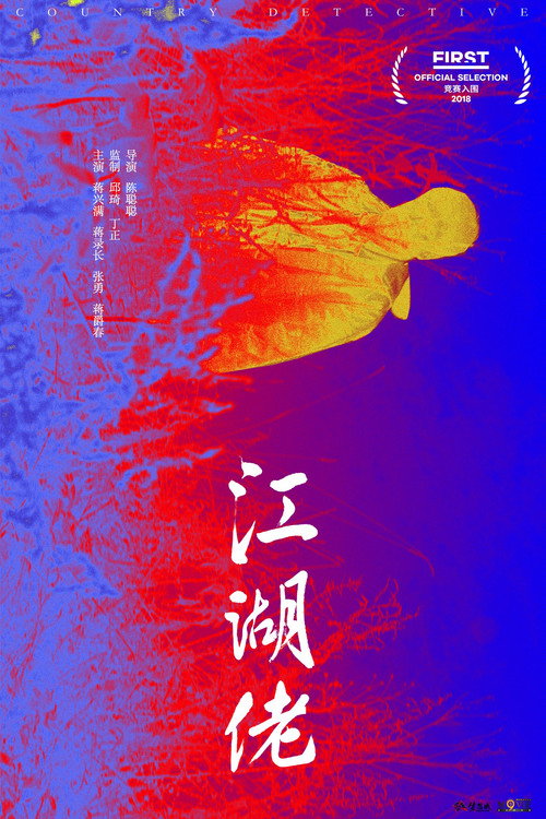 Movie poster for Country Detective (2018)