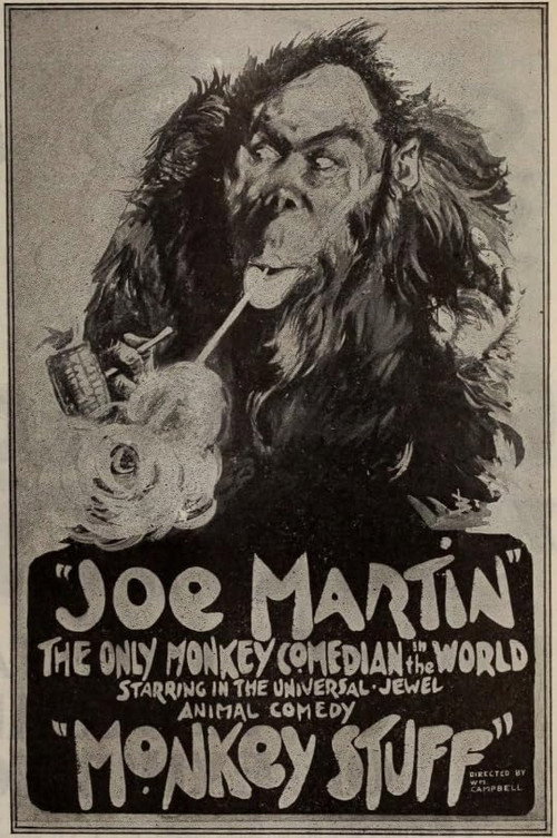 Movie poster for Monkey Stuff (1919)