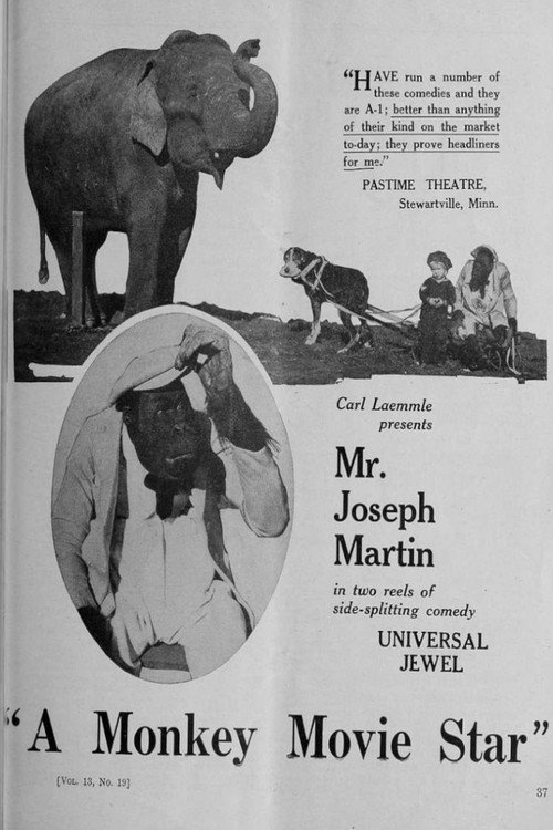 Movie poster for A Monkey Movie Star (1921)