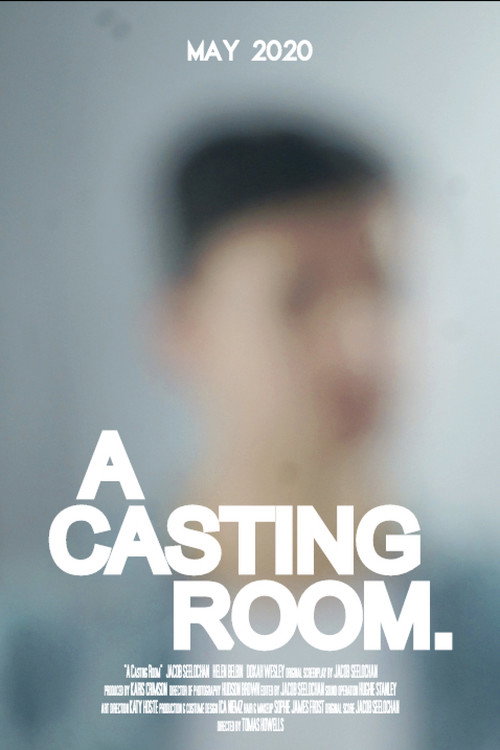 Movie poster for A Casting Room