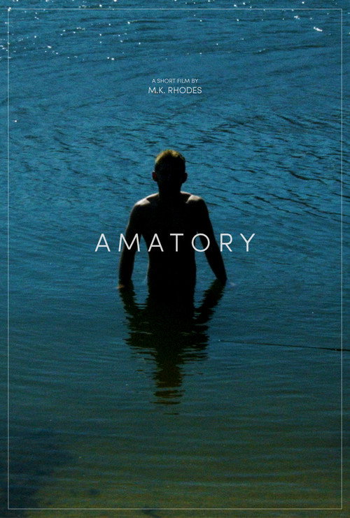 Movie poster for Amatory (2020)
