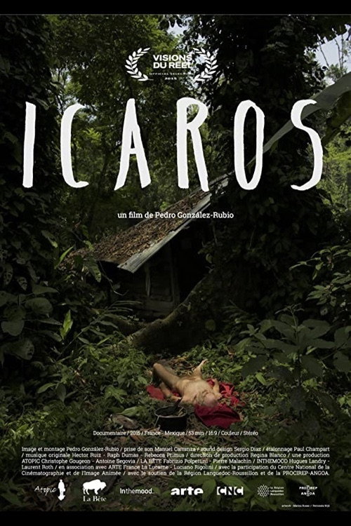 Movie poster for Ícaros (2014)