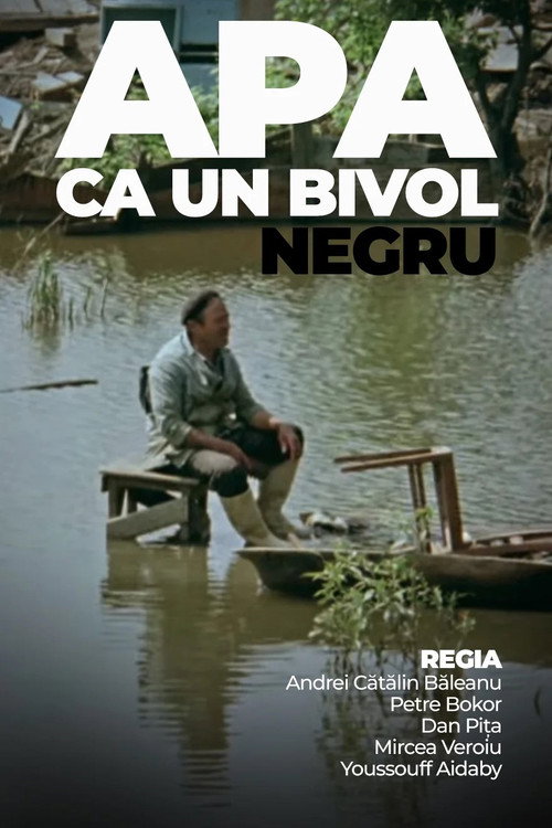 Movie poster for Water Like a Black Buffalo (1970)