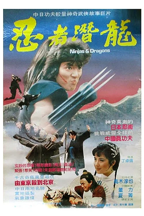 Movie poster for Ninjas and Dragons (1984)