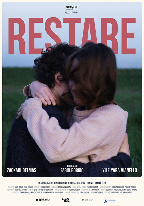 Movie poster for Remains (2025)