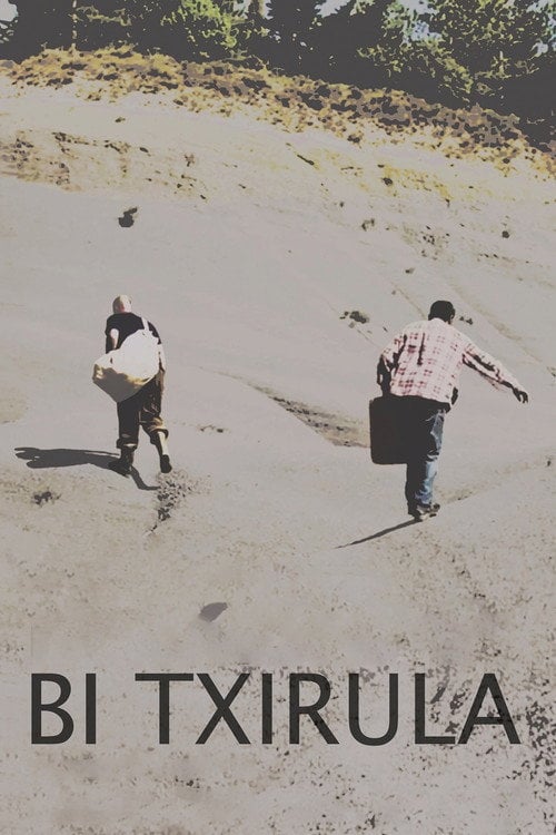 Movie poster for Bi txirula (2017)
