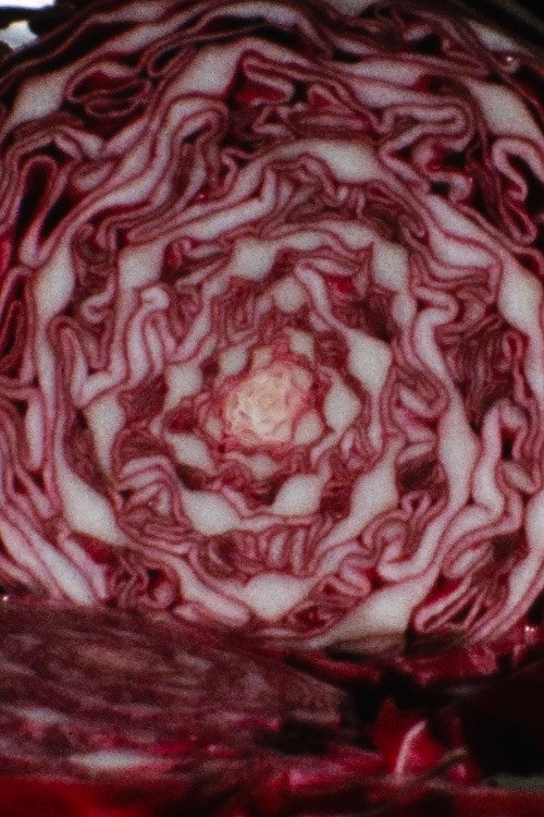 Movie poster for Cabbage (1972)
