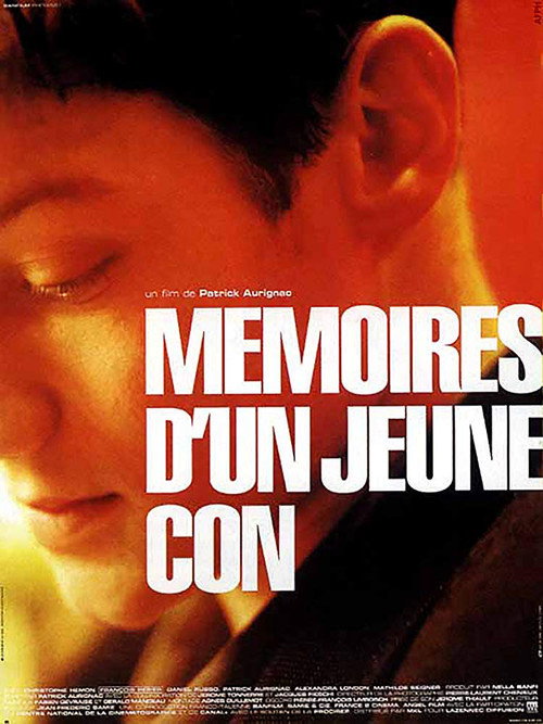 Movie poster for Mémoires d'un jeune con (1996)