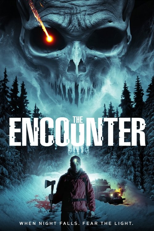 Movie poster for The Encounter (2015)