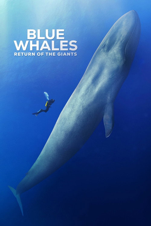 Movie poster for Blue Whales: Return of the Giants (2023)