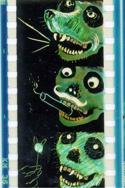Movie poster for Secrets of Mexuality (2003)