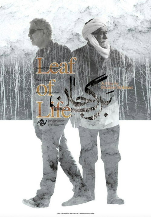 Movie poster for Leaf of Life (2017)