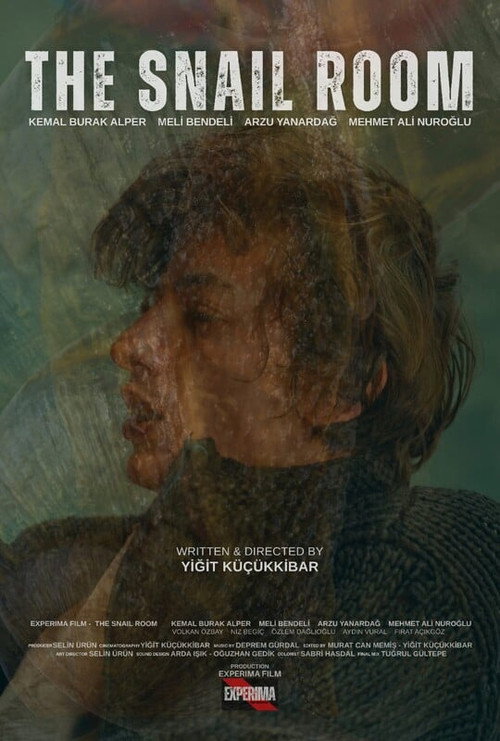Movie poster for The Snail Room