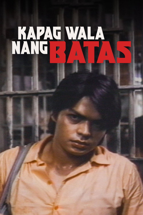 Movie poster for Kapag wala nang batas (1990)