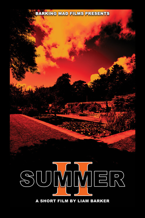 Movie poster for SUMMER II