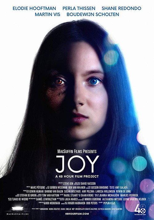 Movie poster for Joy (2019)