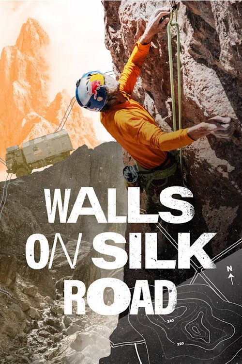 Movie poster for Walls on Silk Road