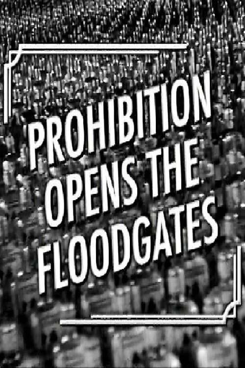 Movie poster for Prohibition Opens the Floodgates (2006)
