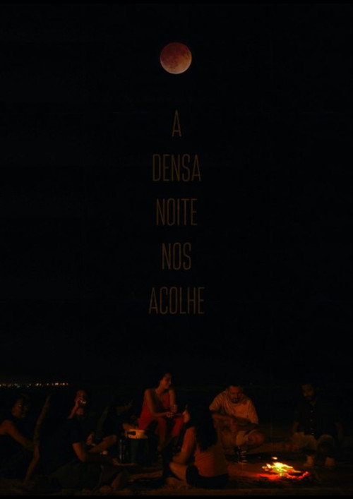 Movie poster for A densa noite que nos acolhe