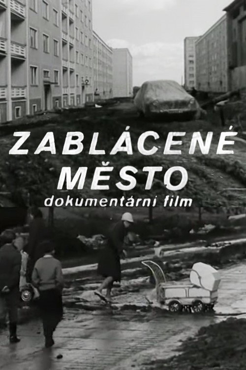 Movie poster for Mud Covered City (1964)