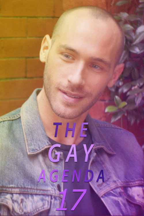 Movie poster for The Gay Agenda 17