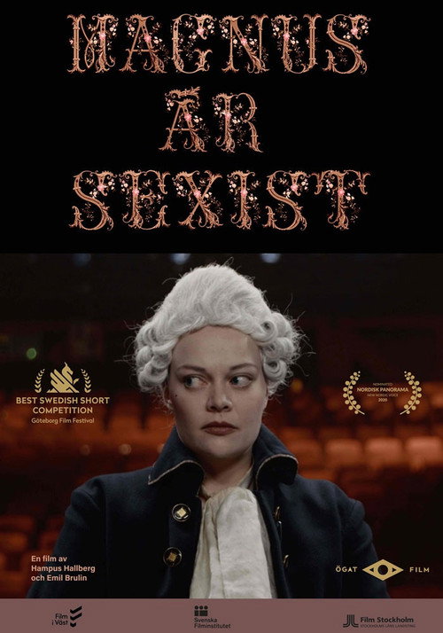 Movie poster for Magnus is a sexist (2021)
